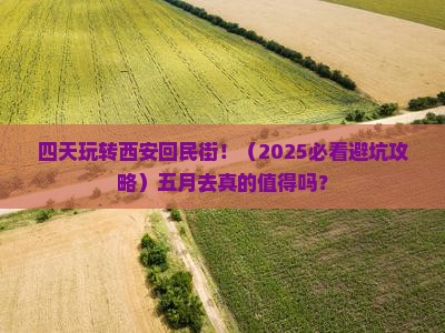 五月去西安回民街四日游