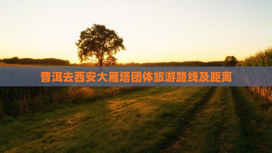 普洱去西安大雁塔团体旅游
