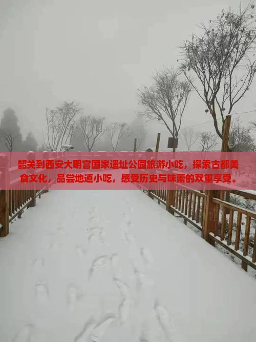 韶关到西安大明宫国家遗址公园旅游小吃