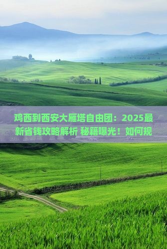 鸡西到西安大雁塔自由团