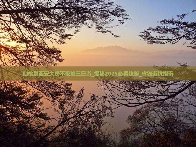 仙桃到西安大唐不夜城三日游