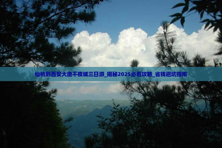 仙桃到西安大唐不夜城三日游