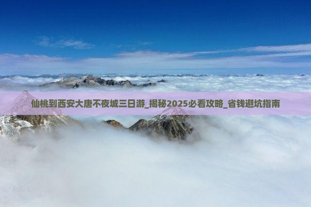 仙桃到西安大唐不夜城三日游