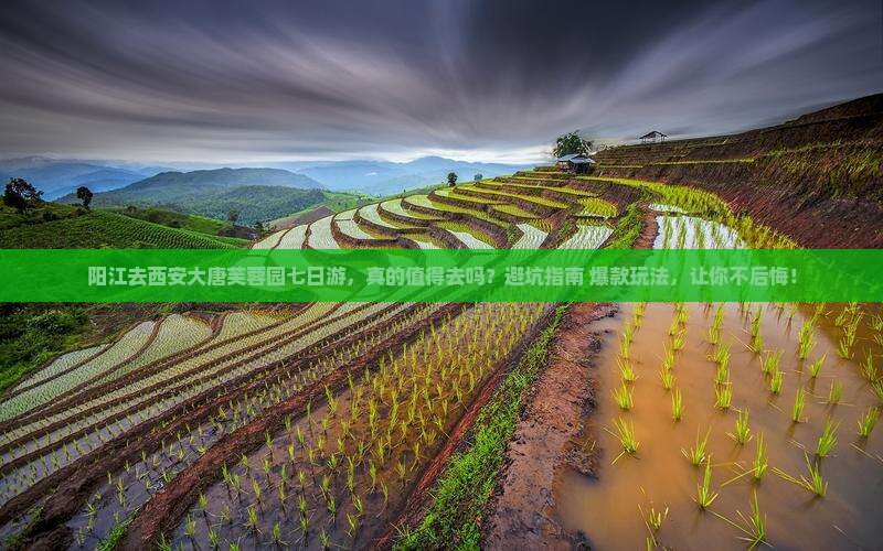 阳江去西安大唐芙蓉园七日游