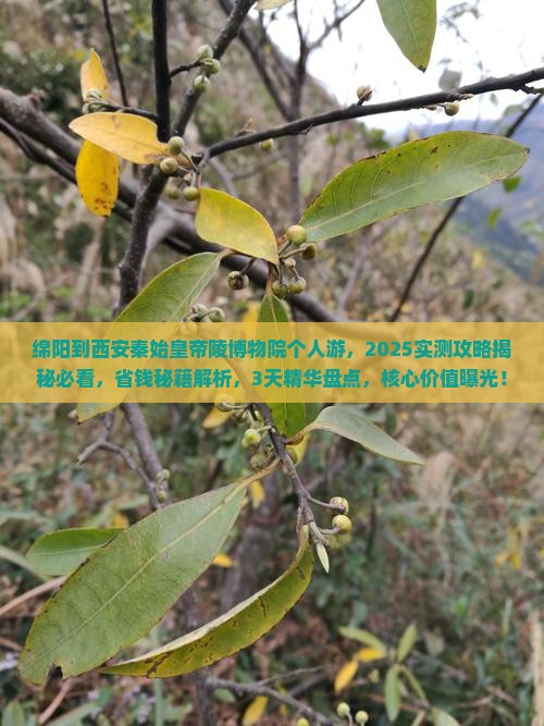 绵阳到西安秦始皇帝陵博物院个人游