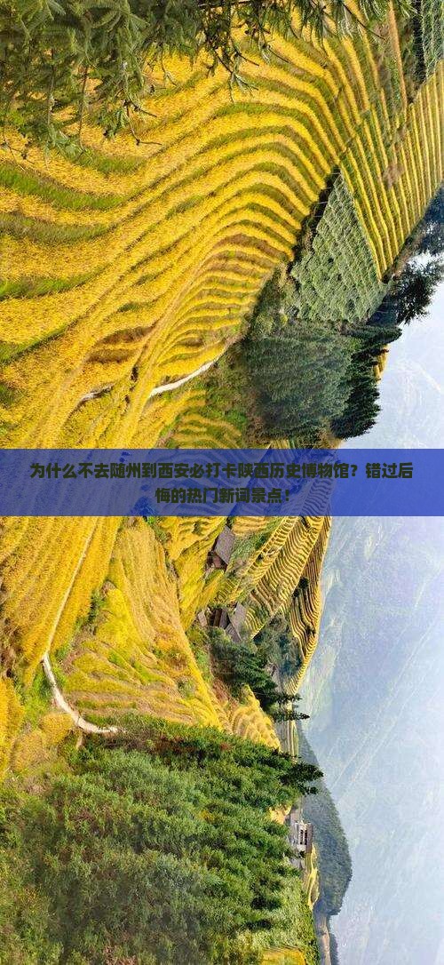 随州到西安陕西历史博物馆景点