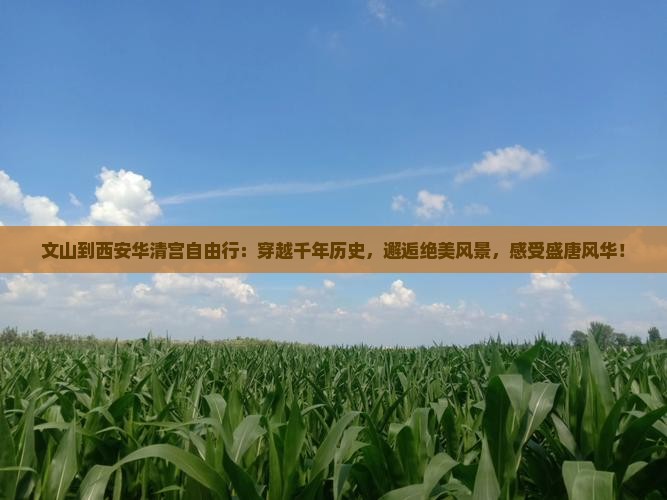 文山到西安华清宫自由行