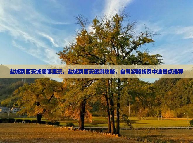 盐城到西安城墙哪里玩
