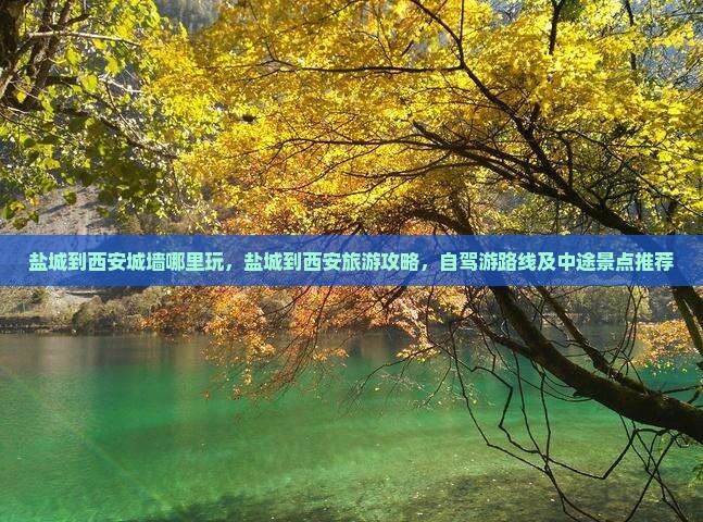 盐城到西安城墙哪里玩
