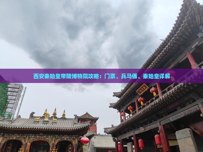 吉安去西安秦始皇帝陵博物院门票