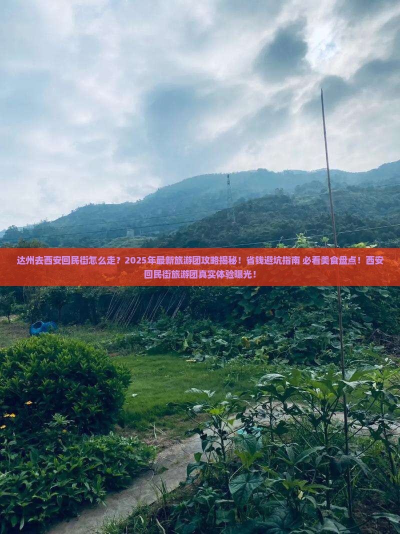 达州去西安回民街大型旅游团