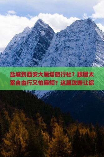 盐城到西安大雁塔旅行社
