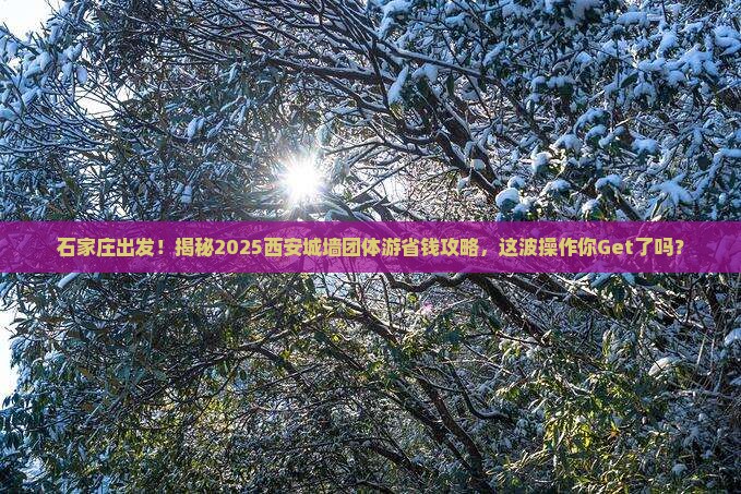 石家庄去西安城墙团体旅游