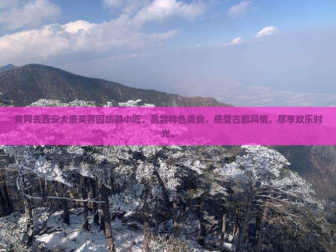 黄冈去西安大唐芙蓉园旅游小吃