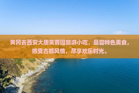 黄冈去西安大唐芙蓉园旅游小吃