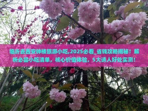临沂去西安钟楼旅游小吃