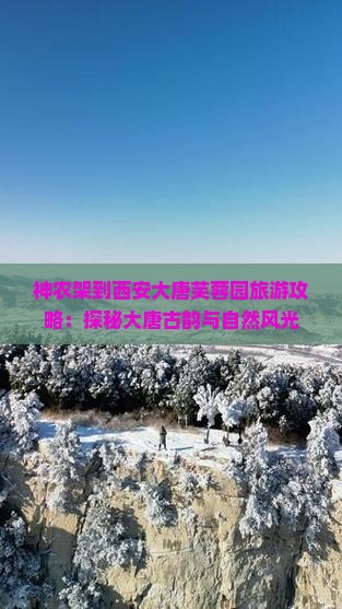 神农架到西安大唐芙蓉园旅游 神农架到西安大唐芙蓉园旅游