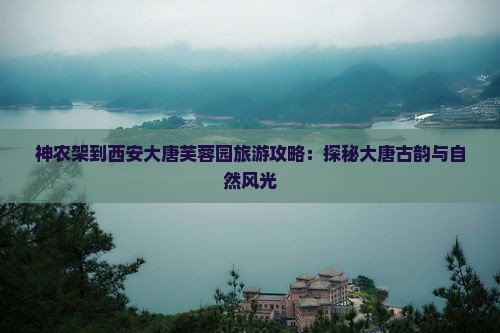 神农架到西安大唐芙蓉园旅游 神农架到西安大唐芙蓉园旅游