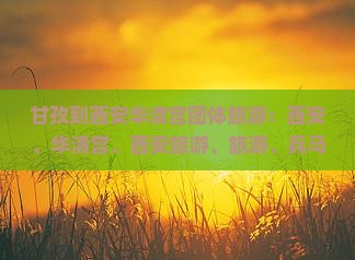 甘孜到西安华清宫团体旅游