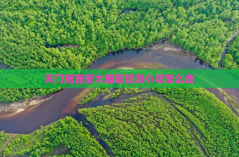 天门到西安大雁塔旅游小吃 天门到西安大雁塔旅游小吃