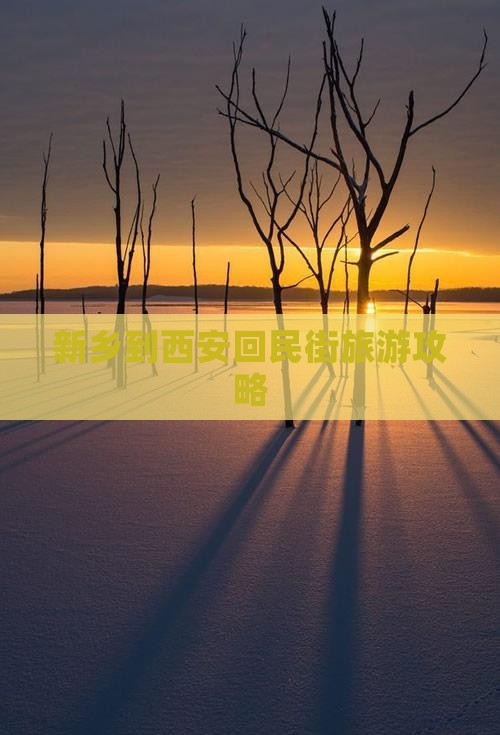 新乡到西安回民街攻略
