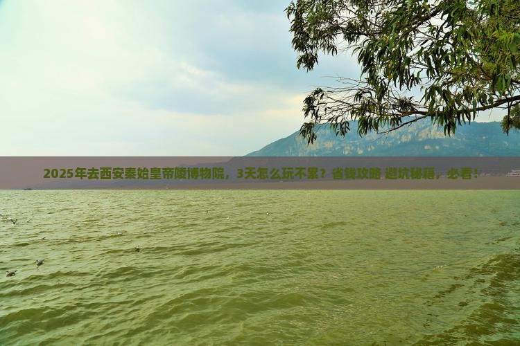 温州去西安秦始皇帝陵博物院旅游