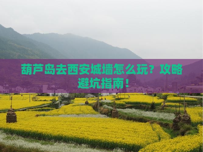 葫芦岛去西安城墙景点