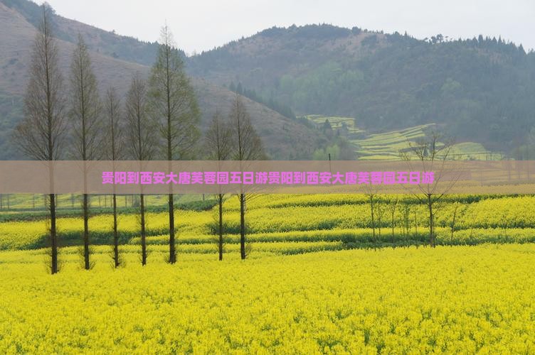 贵阳到西安大唐芙蓉园五日游