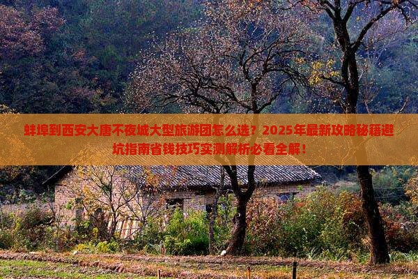 蚌埠到西安大唐不夜城大型旅游团