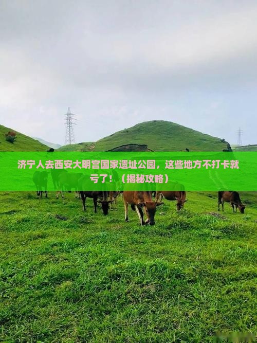 济宁去西安大明宫国家遗址公园必去地
