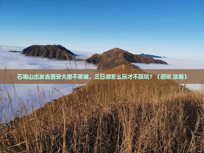 石嘴山去西安大唐不夜城三日游