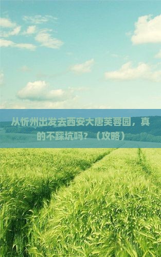 忻州去西安大唐芙蓉园攻略