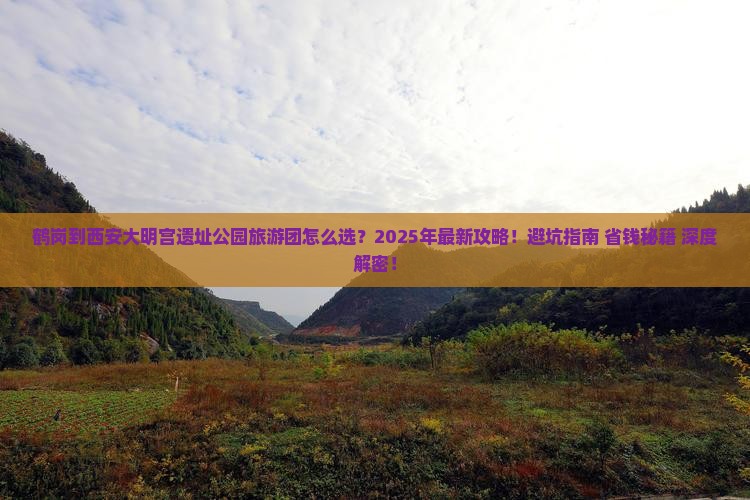 鹤岗到西安大明宫国家遗址公园大型旅游团