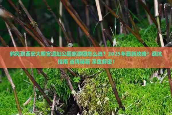 鹤岗到西安大明宫国家遗址公园大型旅游团