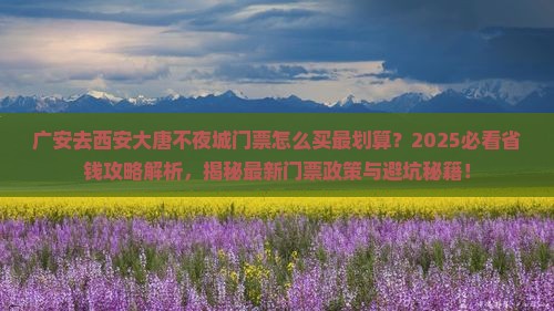 广安去西安大唐不夜城门票