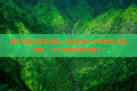 南宁去西安钟楼旅游小吃