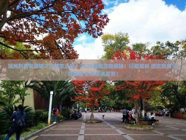 贺州到西安城墙六日游