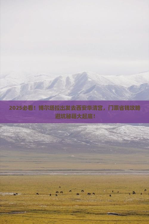 博尔塔拉到西安华清宫门票