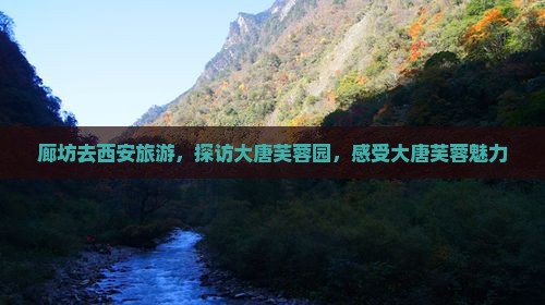 廊坊去西安大唐芙蓉园大型旅游团