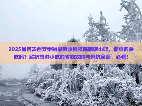 昌吉去西安秦始皇帝陵博物院旅游小吃