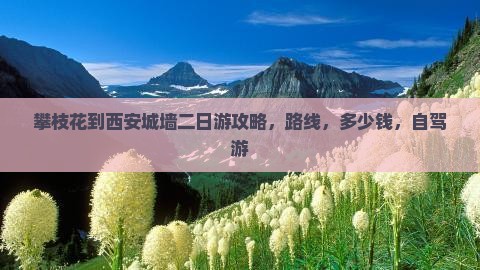 攀枝花到西安城墙二日游