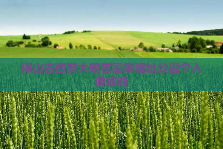 保山去西安大明宫国家遗址公园个人游