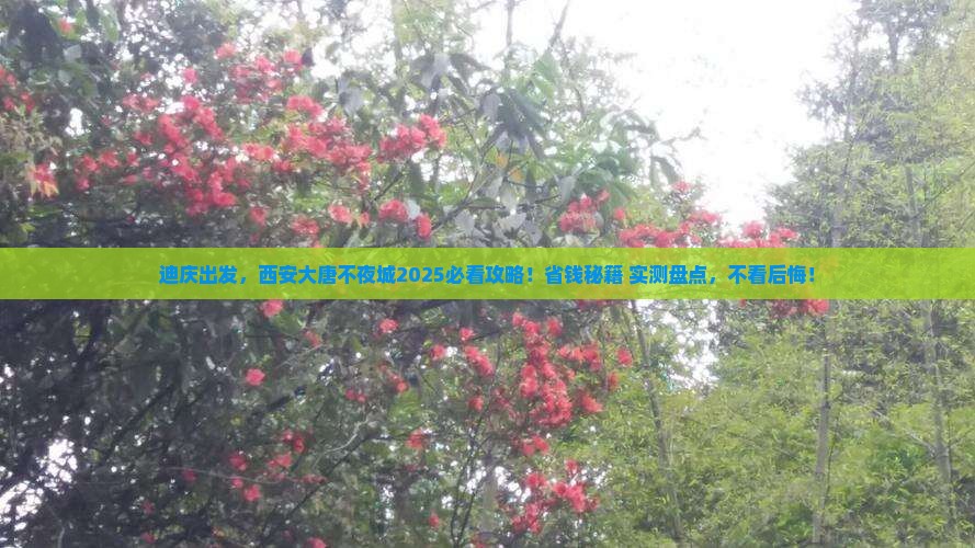 迪庆去西安大唐不夜城景点
