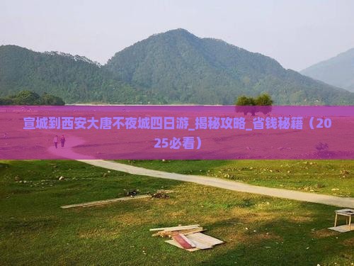 宣城到西安大唐不夜城四日游