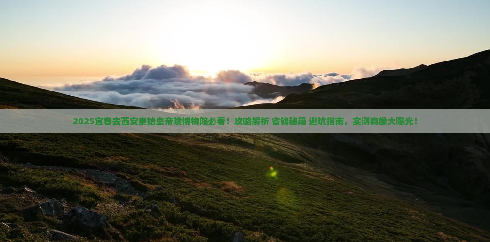 宜春去西安秦始皇帝陵博物院景点
