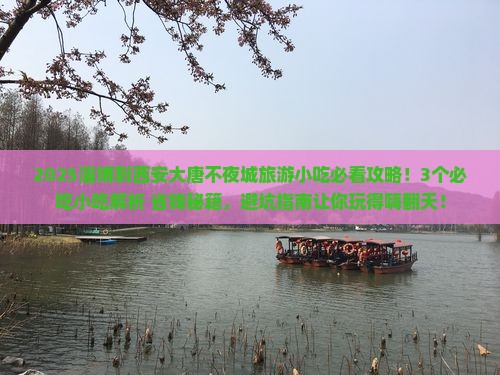 淄博到西安大唐不夜城旅游小吃