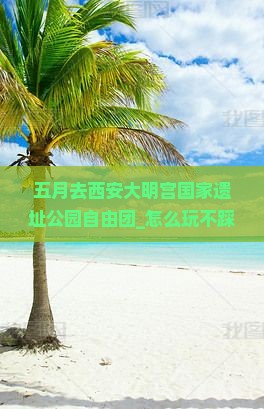 五月去西安大明宫国家遗址公园自由团