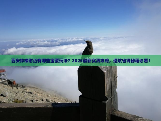 西双版纳去西安钟楼哪里玩