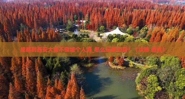 成都到西安大唐不夜城个人游