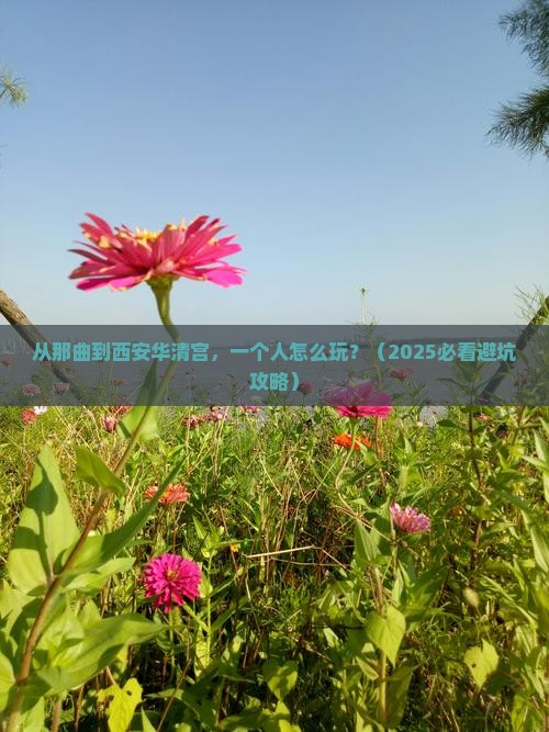 那曲到西安华清宫个人游
